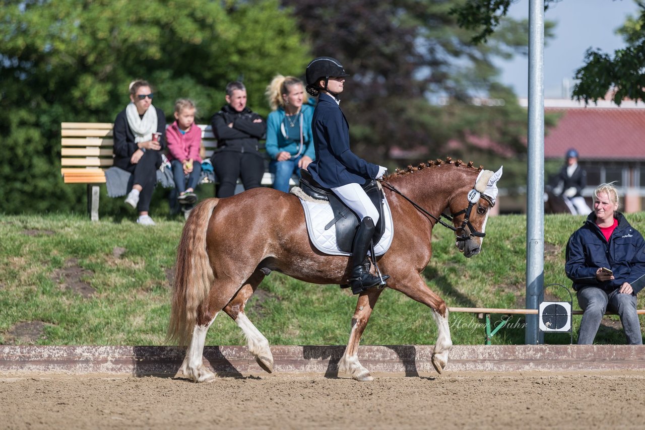 Bild 333 - Pony Akademie Turnier